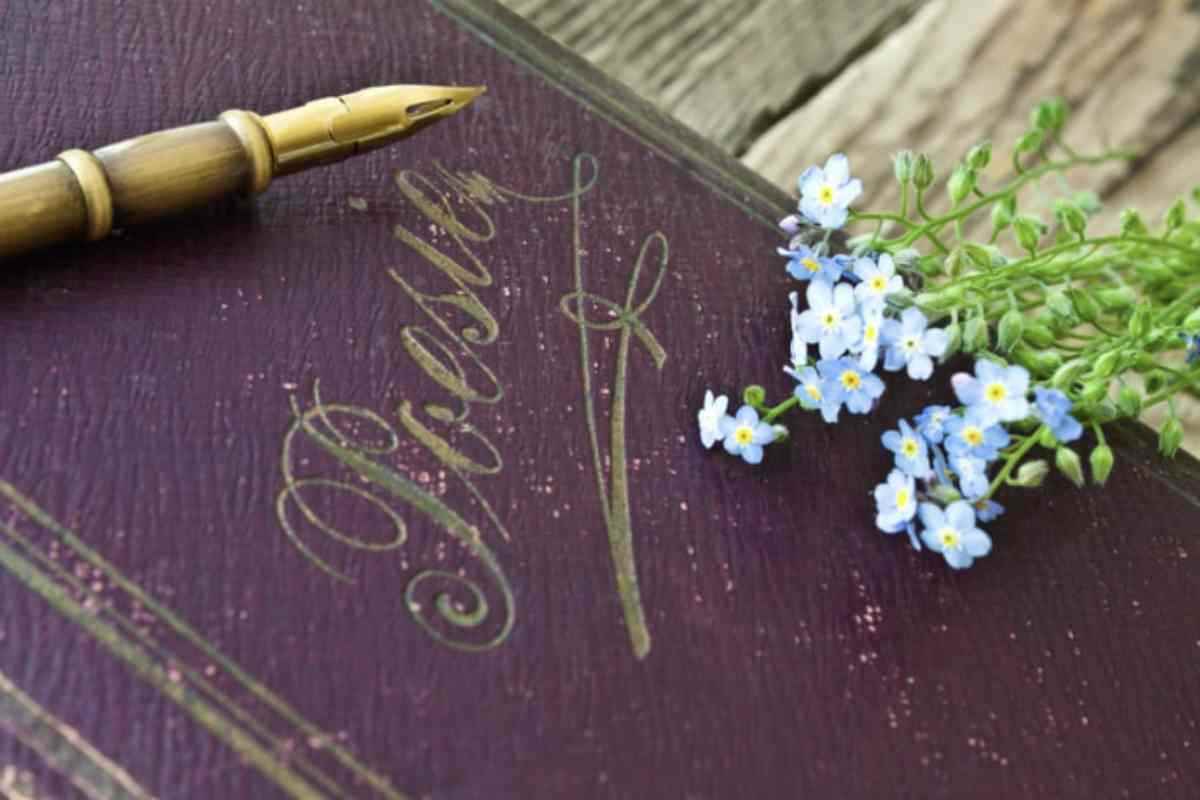 La svolta del testo arriva quando compare la presenza della persona amata. Il passaggio è improvviso, quasi netto.